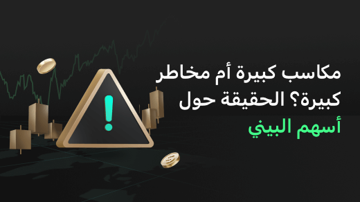 مكاسب كبيرة أم مخاطر كبيرة؟ الحقيقة حول أسهم البيني