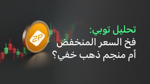 تحليل شركة العرض المتقن (توبي): فخ السعر المنخفض أم منجم ذهب خفي؟