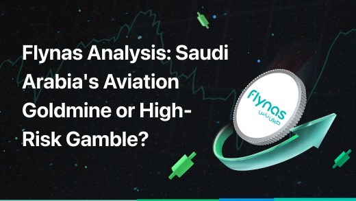 Flynas Analysis: Saudi Arabia's Aviation Goldmine or High-Risk Gamble?